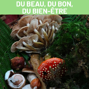 Image de l'événement