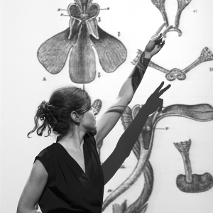 Image de l'événement